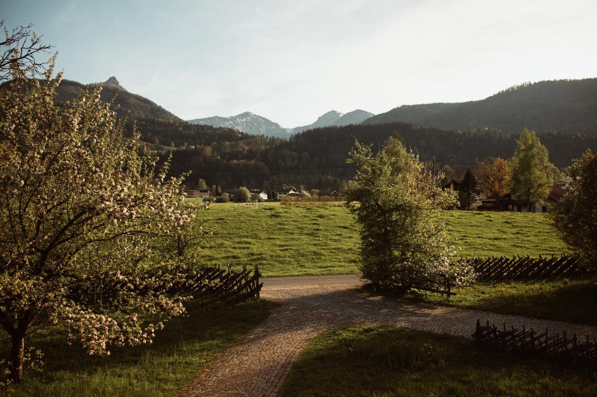 Primushausl Gastehaus Apartamento Strobl Quarto foto